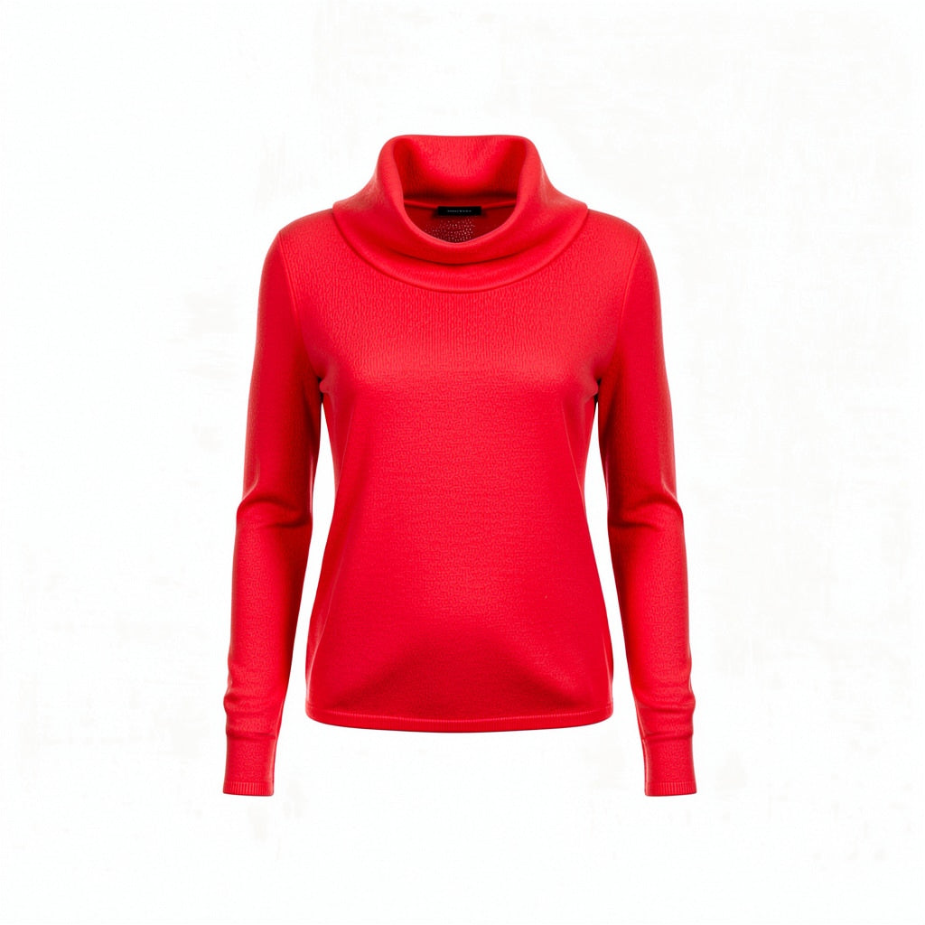 Pull col roulé NOEMIE – vêtement grande taille femme Harmonist'yle