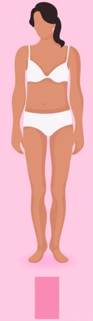 Morphologie femme en H