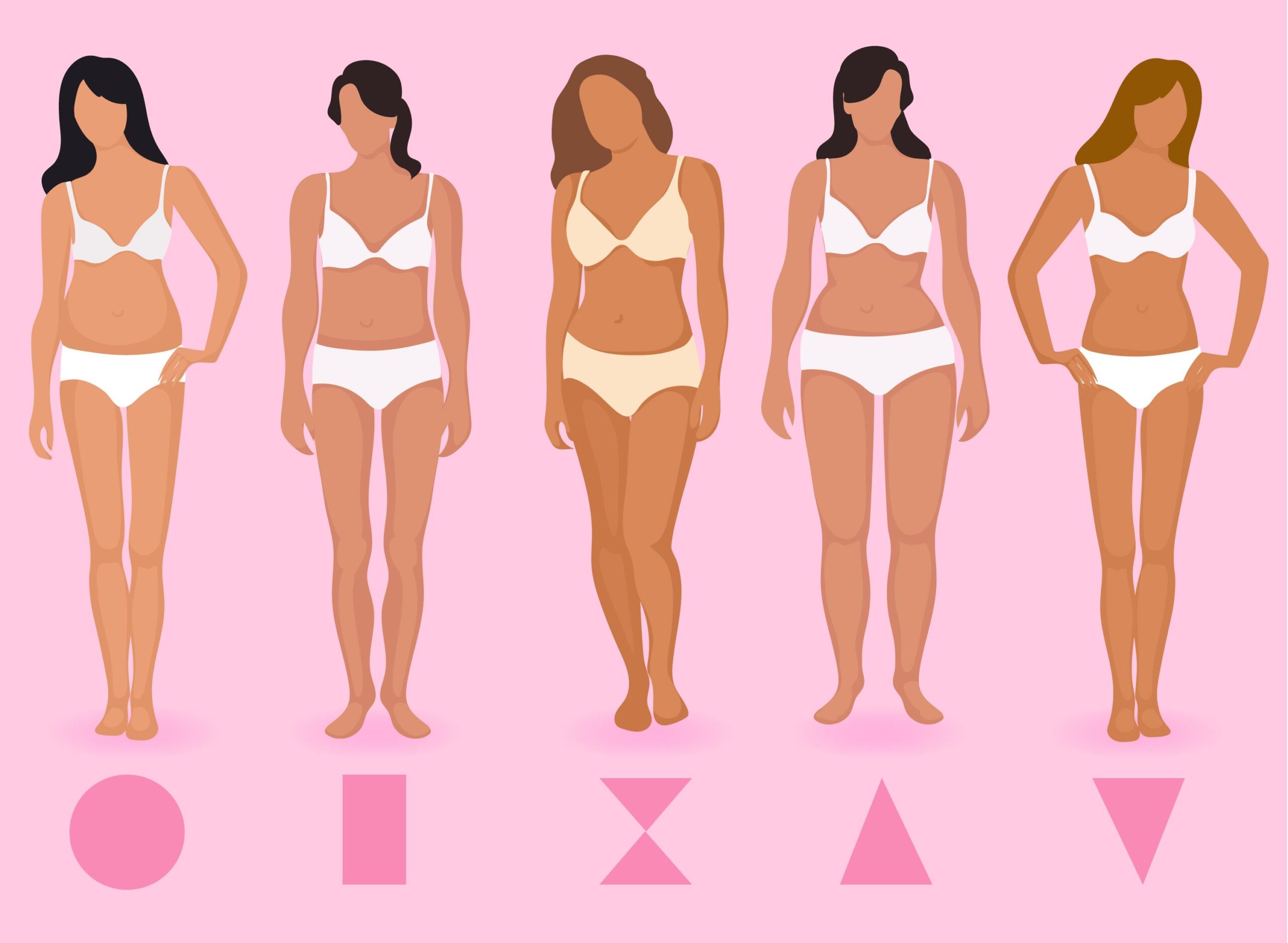 Morphologie femme
